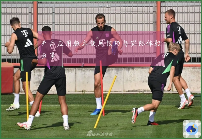 开云应用版本使用技巧与实际体验分享