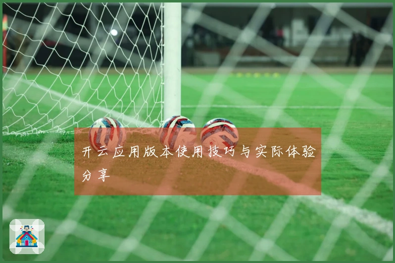 开云应用版本使用技巧与实际体验分享