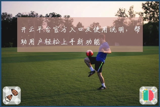 开云平台官方入口及使用说明，帮助用户轻松上手新功能